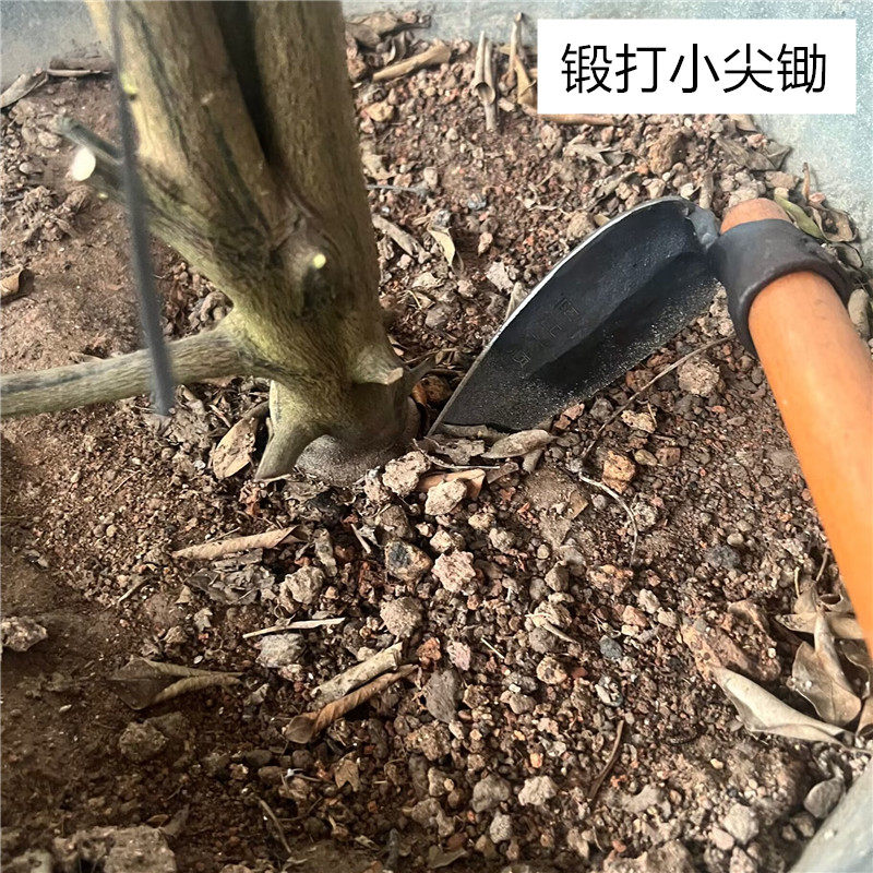 六顺户外多功能种菜种花工具农具小锄头园艺家用小型锻打小尖锄头,淘宝优惠券,粉丝福利购,淘宝优惠卷