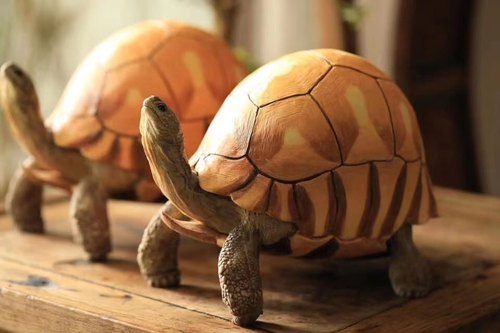 安哥洛卡陆龟模型博物志工作室出品爬宠模型 原创手工制作手办 - 图0