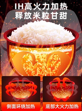 TIGER/虎牌 JPR-A10C电饭煲智能IH加热低糖电饭锅3L家用2-6人份