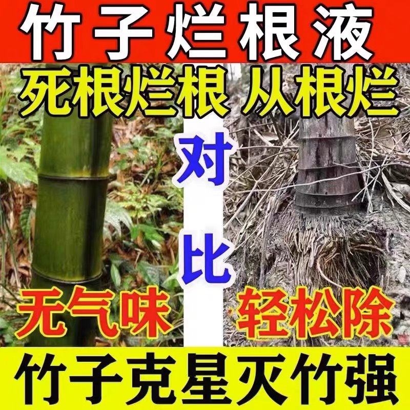 灭竹子的药竹根连根除强力除竹王杂草烂树根专用粉剂腐草树住根绝-图0