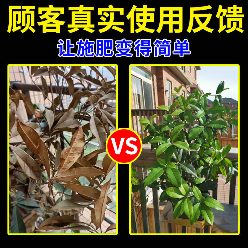 桂花树枯叶干尖叶子发黄叶斑病焦叶专用营养棒肥料叶面肥杀菌药剂,淘宝优惠券,粉丝福利购,淘宝优惠卷