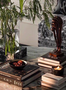 【八度空间】现代样板间轻奢装饰品客厅茶几桌面苔藓盆景书籍摆件