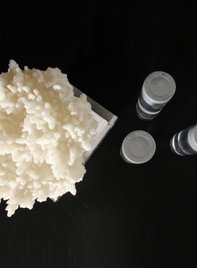 八度空间轻奢侘寂风仿真珊瑚摆件书房书架书桌电视柜玄关艺术抽象