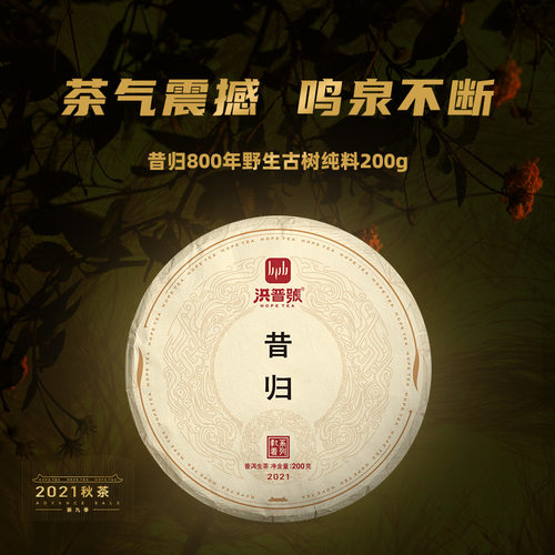 洪普号2021秋执着昔归生茶古树纯料云南普洱茶800年饼茶200g - 图0
