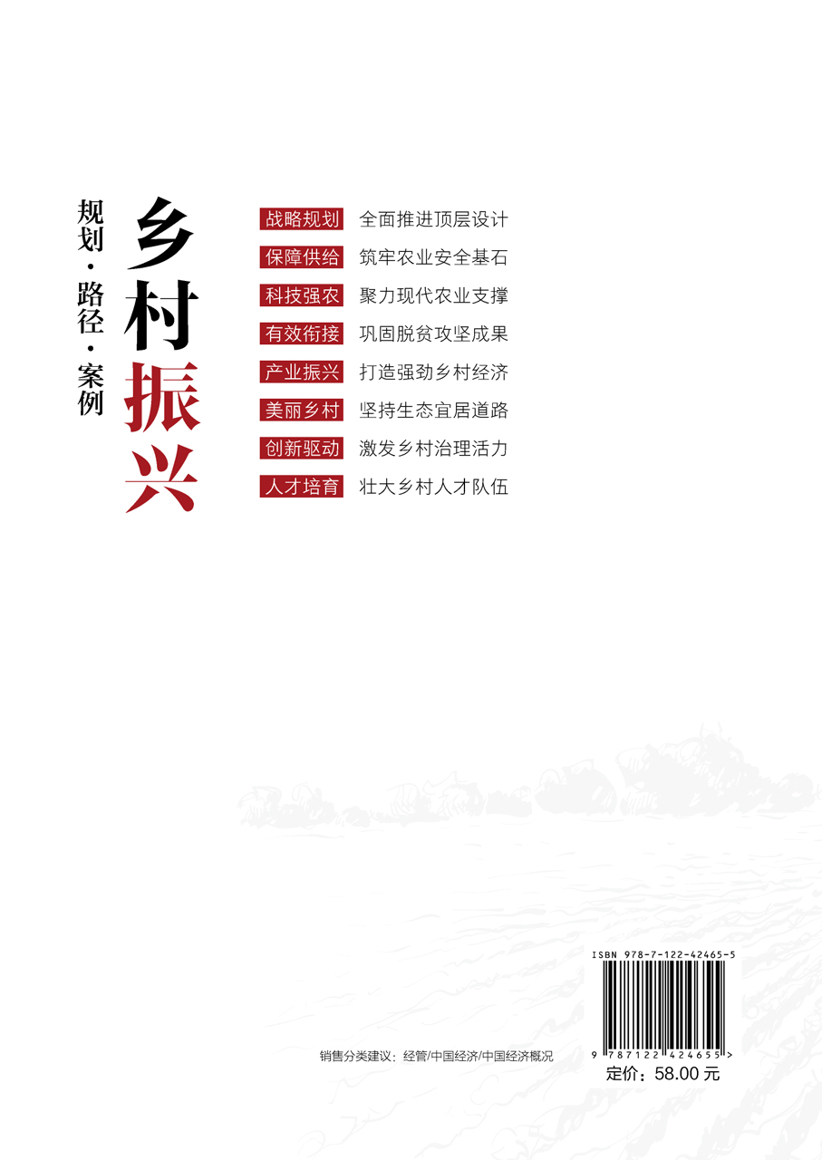 乡村振兴战略路径规划实施产业项目申报指南案例报告经济居民居住生态环境高质量发展政策法规解读方案三农业农村建设计划治理研究 - 图0