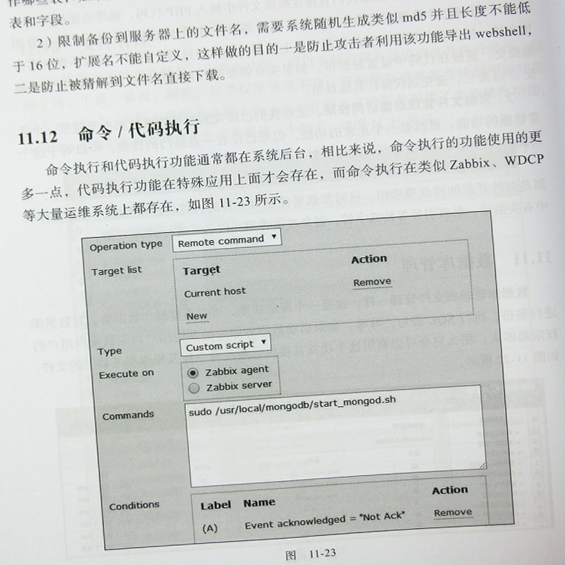 正版包邮 代码审计：企业级Web代码安全架构漏洞挖掘与防范 PHP编程教程 程序设计教材 计算机安全 seay web网站信息安全测试书籍 - 图1