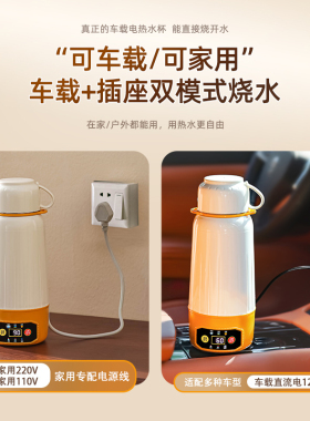 烧水杯车载家用两用便携电热水杯