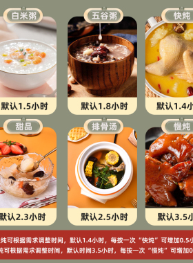快炖电炖锅预约全自动煮粥煲汤锅