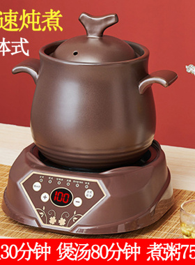养生壶煮米饭熬药熬汤两用电砂锅