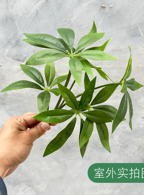 仿真绿色盆栽植物 发财树 绿萝把束家居桌面装饰 办公室 商场美陈