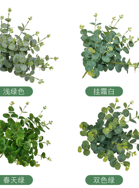 仿真金钱叶单支尤加利叶婚庆装饰