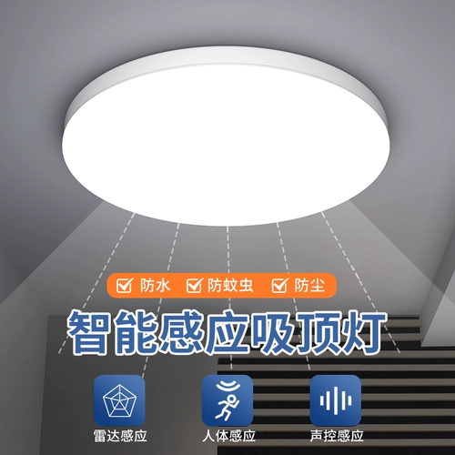 Светодиодный индукционный физиологичный умный потолочный светильник подходит для лестницы для коридора, человеческий датчик