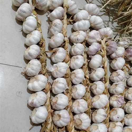 真实大蒜串装饰挂件大蒜辫农家乐酒店农作物挂饰拍摄五谷丰登 - 图0
