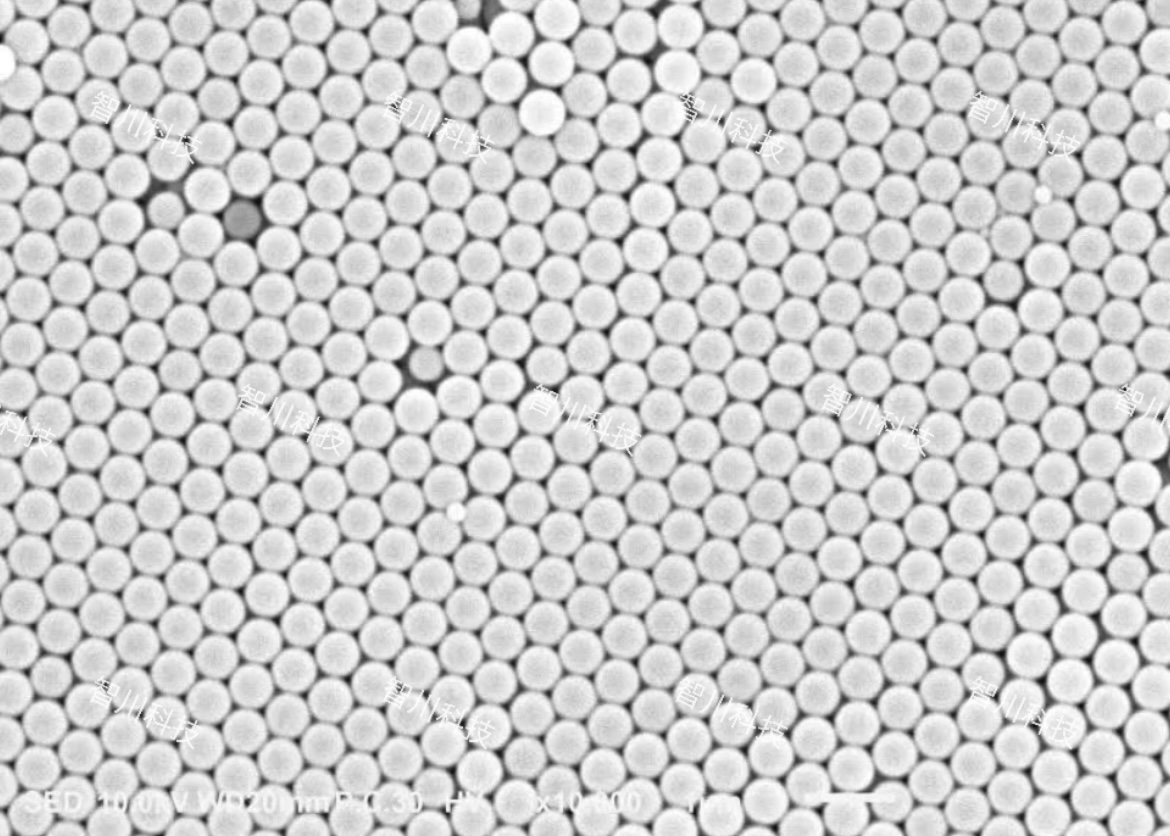 单分散聚苯乙烯纳米微球 PS 微塑料 微球分散液 - 图2