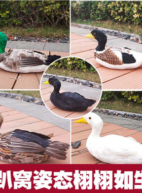 标本模型园林景观道具早教装饰品