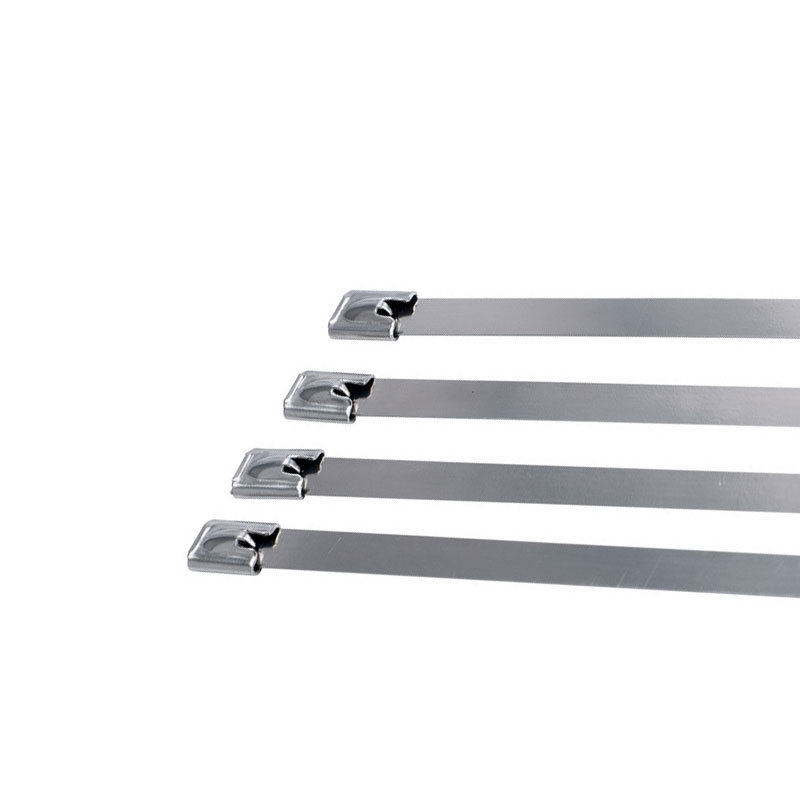 304不锈钢扎带4.6宽50条/包金属束线带电线电缆自锁式电缆固定,淘宝优惠券,粉丝福利购,淘宝优惠卷