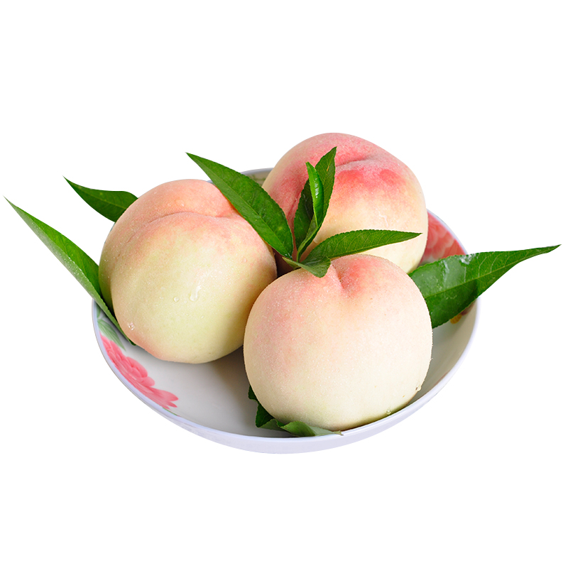老华家阳山水蜜桃正宗无锡阳山水蜜桃新鲜桃子5两12个礼盒装当季孕妇水果现摘现发3