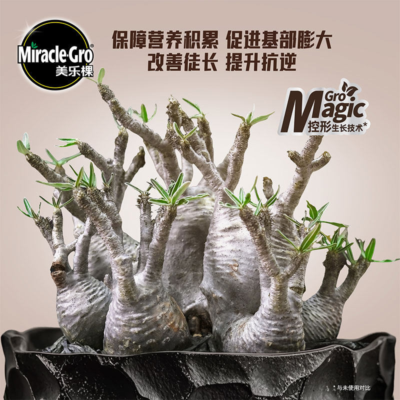 美乐棵块根营养液象牙宫山乌龟专用花卉盆栽肥料通用型有机肥,淘宝优惠券,粉丝福利购,淘宝优惠卷