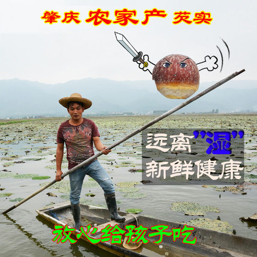 26年新货肇庆芡实鸡头米干货500g特级农家自产新鲜茨实开边四神汤 - 图1