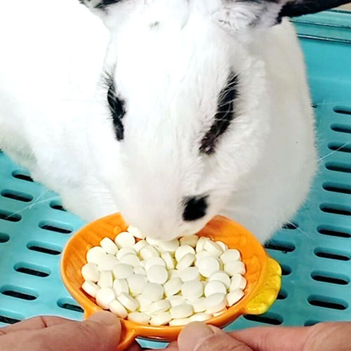 宠物兔子木瓜丸化毛膏片仓鼠龙猫木瓜片化毛丸排毛球营养品小零食 - 图1