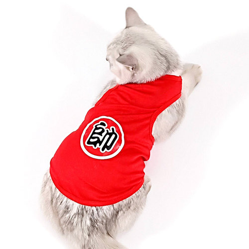 网红小猫咪衣服宠物猫潮牌春夏季薄款可爱背心式英短春秋蓝猫夏天 - 图2