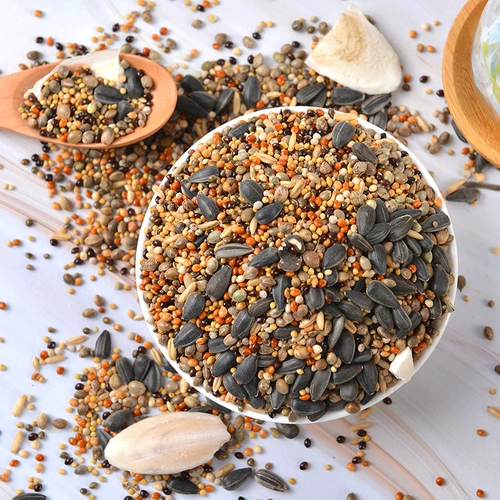 Птичья пища попугай птицы тигр кожаная корм