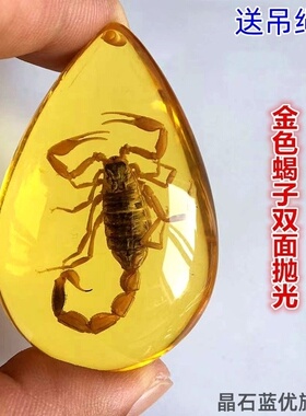 幼儿园小学教学儿童动物