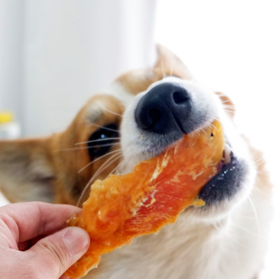 约翰农场狗狗零食三文鱼肉块牛肉块补钙美毛干磨牙训练奖励零食 虎窝淘
