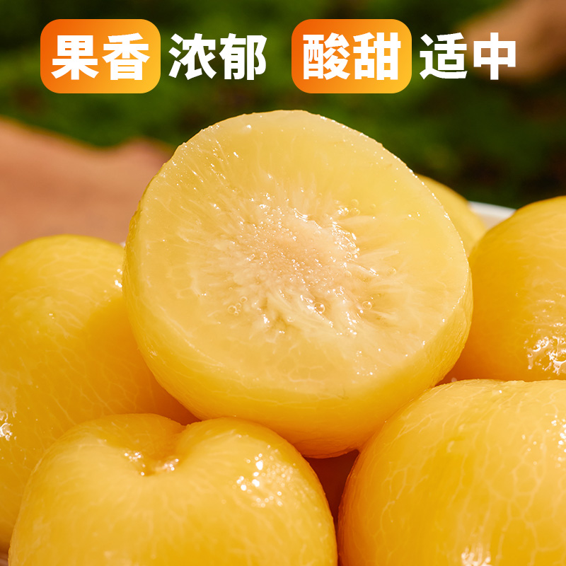 李子罐头425g冰糖李子罐头午后休闲即食特产零食整箱新鲜水果罐头