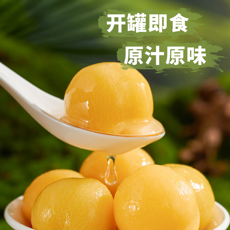 李子罐头425g冰糖李子罐头午后休闲即食特产零食整箱新鲜水果罐头