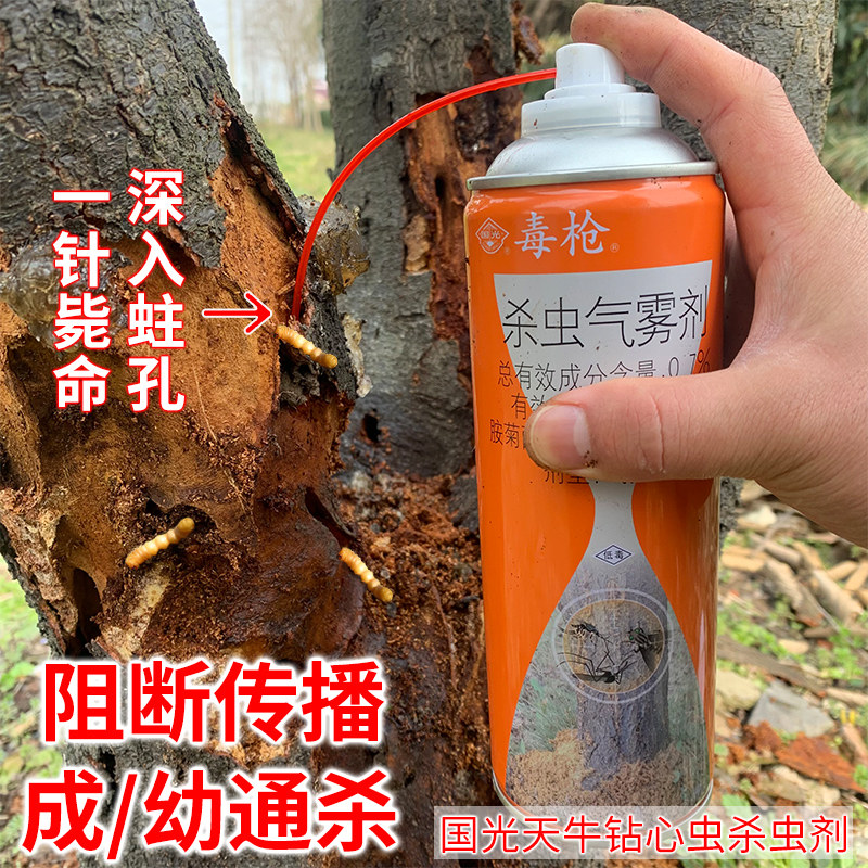 国光天牛杀虫剂树洞无花果树杀钻心虫幼虫树木克灭防虫药蛀虫喷剂