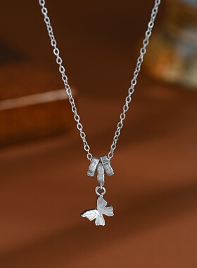 2026真金电镀欧美不规则金属光面锁骨链女小众设计感蝴蝶项链