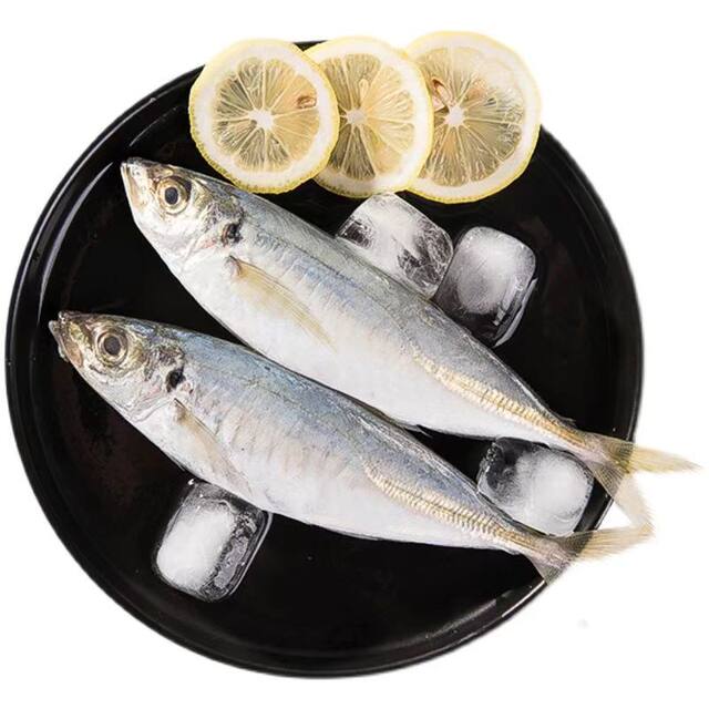 Chaoshan Balang fish, fresh deep-sea caught blue round trevally, seafood, aquatic products, horse mackerel, spiny fish, pond fish, stick fish, sea fish