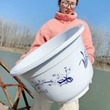 Большой лотос горшок, пористые гидравлические гидравлические зеленые растения с большими пластиковыми пластиками с поры с круглыми фруктовыми деревьями, круглые толстые имитационные керамики