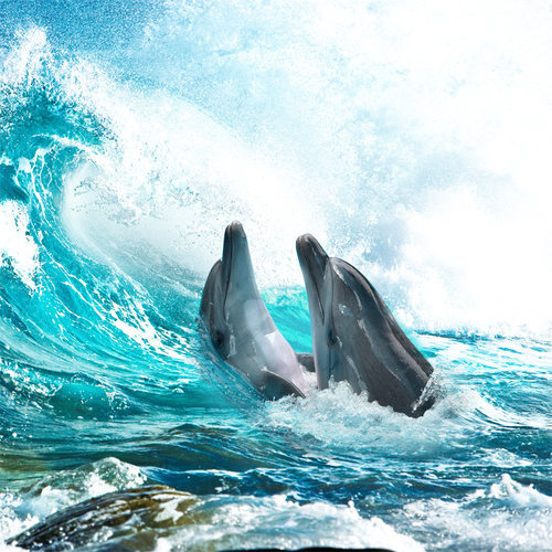 海底世界墙纸自粘墙贴墙画防水婴儿游泳馆海豚海洋定制壁画背景墙 - 图2