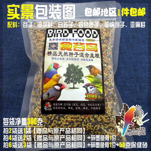 文鸟七彩芙蓉金翅金丝雀玉鸟金青黄雀白燕麻料十姐妹鸟粮饲料包邮 - 图0