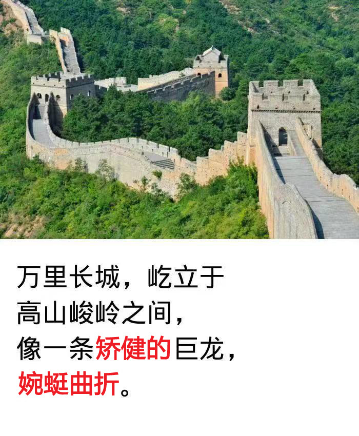 形容词 看图学说话 训练卡片 低年级扩句子儿童语言发育迟缓康复