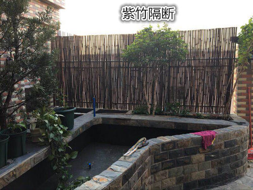 户外防腐竹栅栏竹杆竹篱笆围墙围栏爬藤架庭院隔断屏风紫竹帘竹竿 - 图2