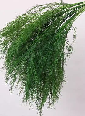 仿真绿植芦荀草龙须草婚礼背景花艺橱窗造景白绿森系婚庆装饰插花