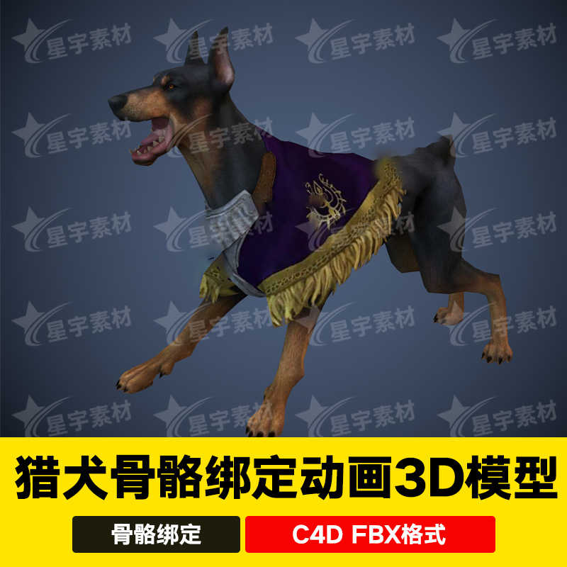 犬骨架模型 Top 100件犬骨架模型 22年11月更新 Taobao