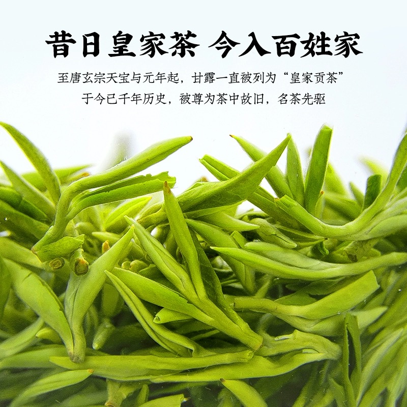 特级蒙顶甘露茶叶自己喝高山绿茶2024新茶老川茶明前茶上等春茶