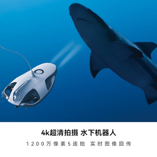 Powervision (Powervision) Powerray Powerray Подводной стрельба из БПЛА РОБИЛЬНЫЙ РОБИЛЬНЫЙ РОБИТА