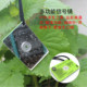New climbing belt compass emergency adventure signal mirror