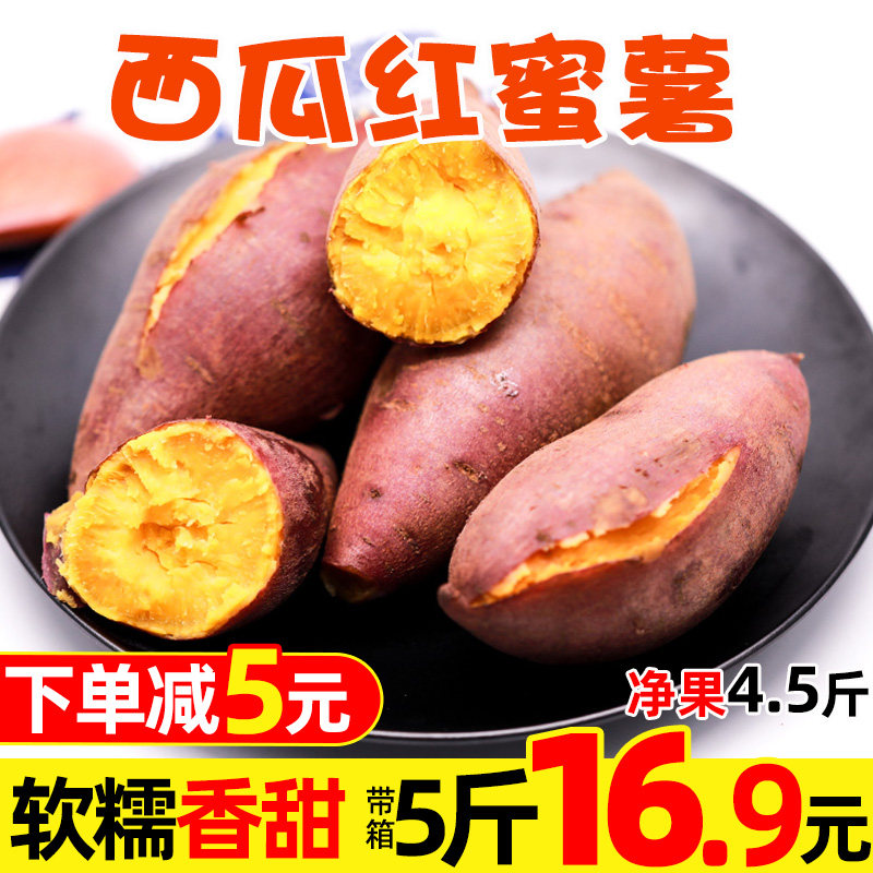 新鲜西瓜红蜜薯5沙地农家自种番薯 壹农壹果番薯