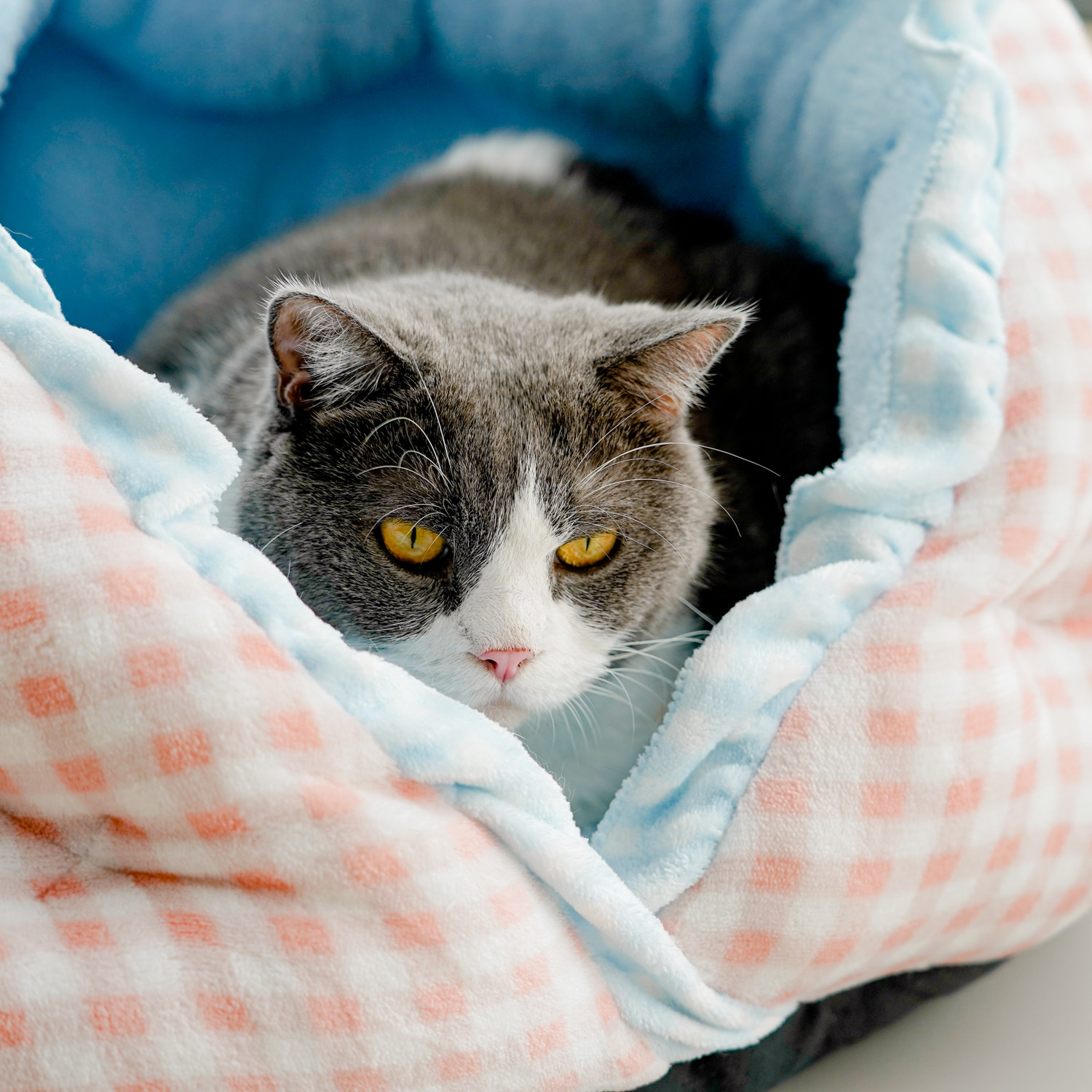 360°全包裹猫窝冬季保暖宠物半封闭狗窝加厚狗窝小型犬深度睡眠,淘宝优惠券,粉丝福利购,淘宝优惠卷