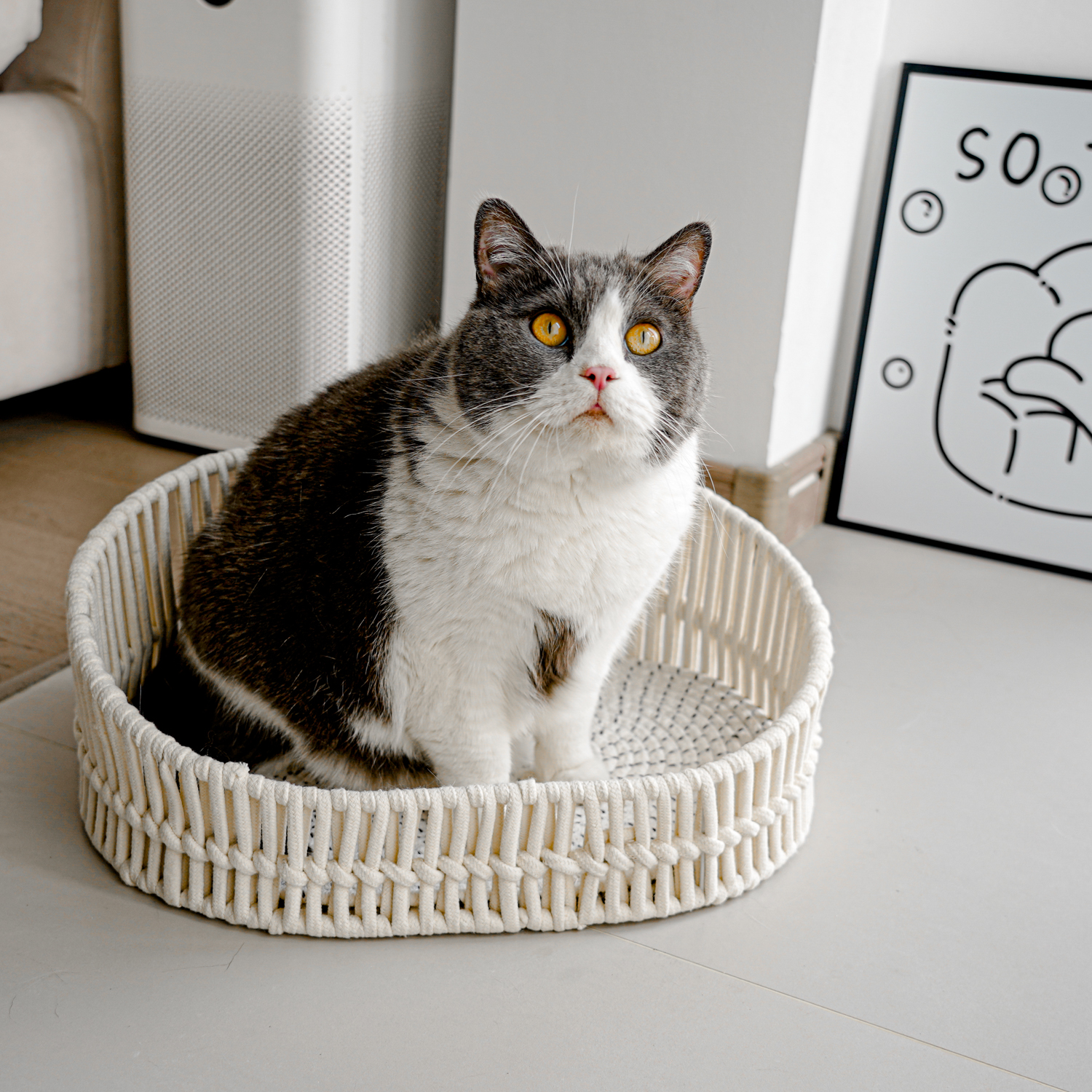 手工棉绳编织牢固不塌棉麻猫窝结实耐用简约颜值铁艺椭圆形开放式 - 图0