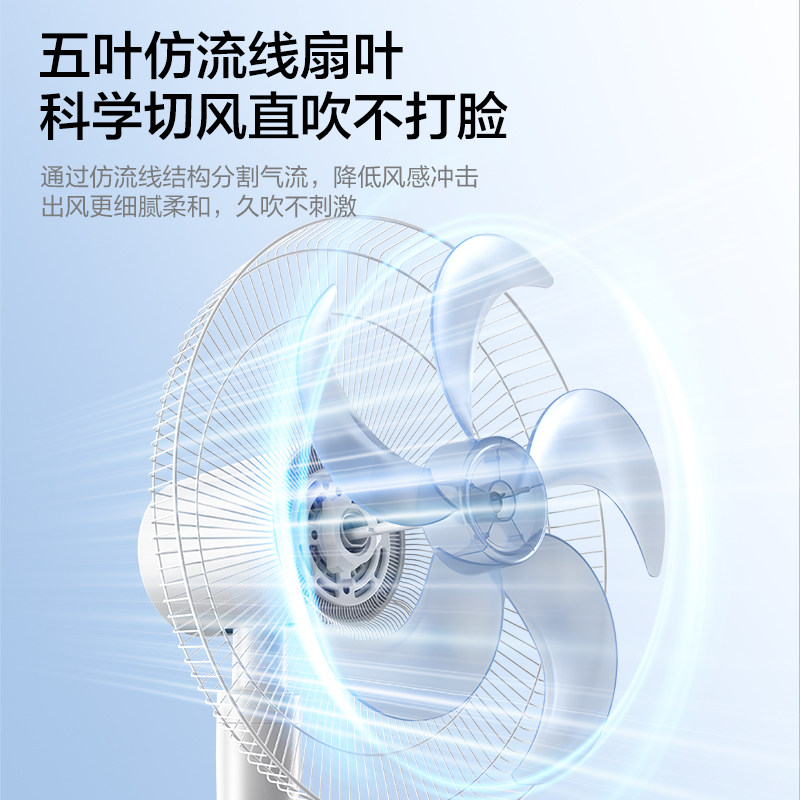图 5