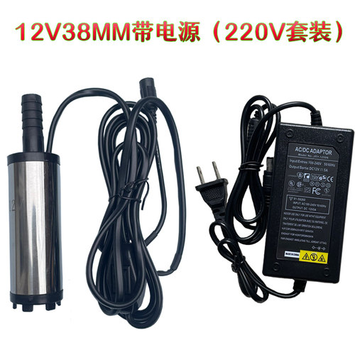 微型抽油器电动抽水泵柴油12V/24V/220V直流加油机自吸吸油泵小型 - 图1