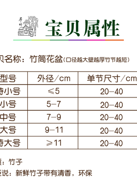 简约个性多肉组合小中大室内竹子
