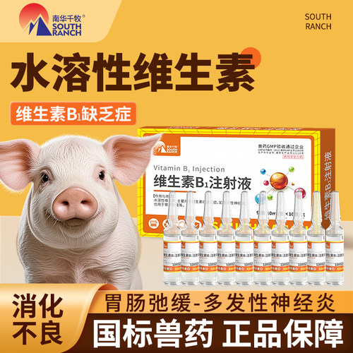 维生素B1注射液兽用兽药牛羊猪用开胃消化不良多发性神经炎b1针剂 - 图1